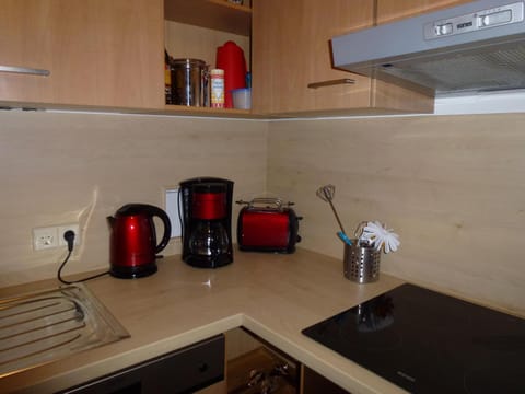 Ehlershus Apartment in Salzburgerland