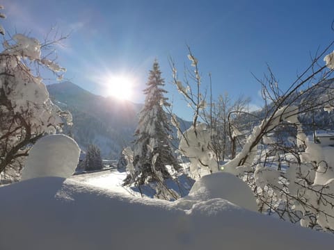 Natural landscape, Winter