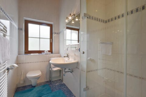 Shower, Toilet, Bathroom, towels