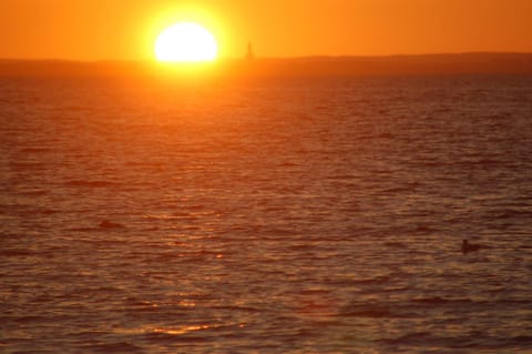 Ostsee-Ferienoase-3-Raum-App-Typ-1 Apartment in Ostholstein