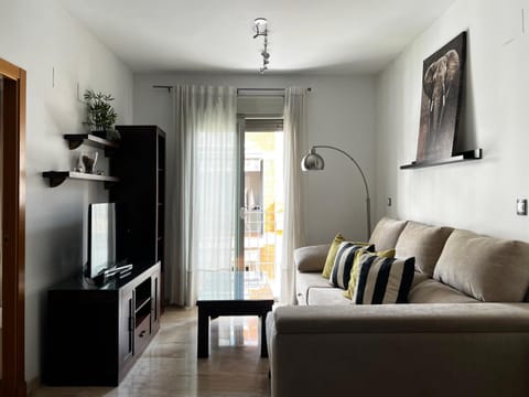 TV and multimedia, Balcony/Terrace, Living room, internet