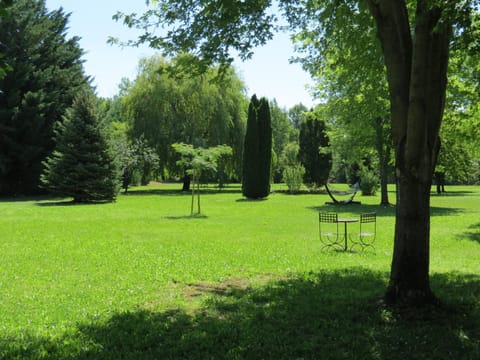 Garden, Garden view, Breakfast