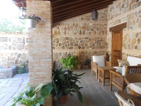 Patio, Garden