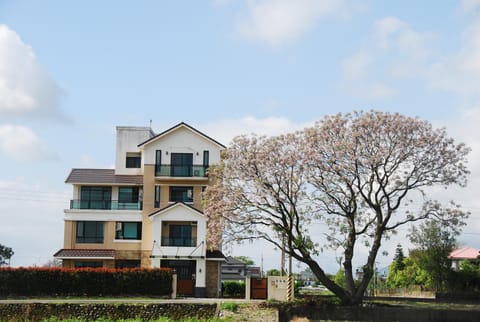 Property building, Facade/entrance, Bird's eye view, View (from property/room), Garden view