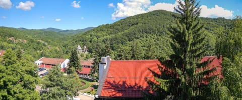 Hotel Radan Prolom Banja Resort in Serbia