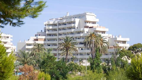 Dream Park by Benal Beach Apartment in Benalmadena