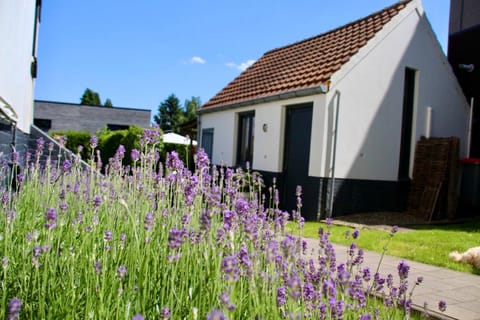 Belle Chique - Maastricht Bed and Breakfast in Maastricht