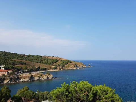Activities, Garden, Snorkeling, View (from property/room), Beach, Canoeing, Hiking, Cycling, Diving, Animals, Mountain view, Sea view, children, young children, older children, group of guests