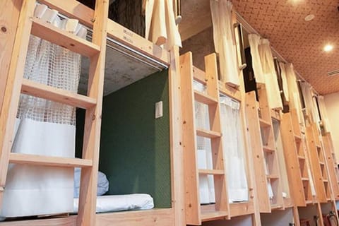 Bed, Photo of the whole room, Bedroom, bunk bed