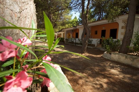 Facade/entrance, Garden view
