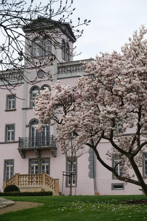 Spring