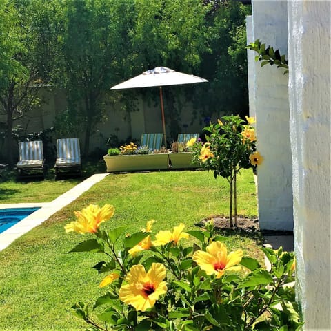 Garden, Balcony/Terrace, Decorative detail, Area and facilities