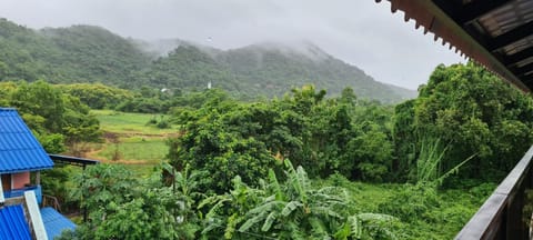 Natural landscape, Garden, Mountain view