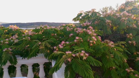 Natural landscape, Mountain view, Sea view