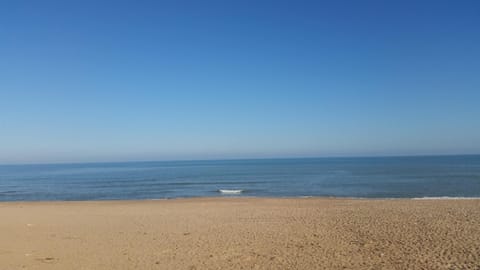 Day, Natural landscape, Beach