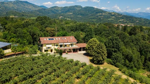 Natural landscape, Bird's eye view