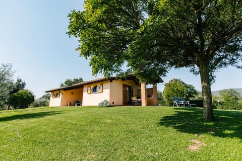 Patio, Garden, Garden view
