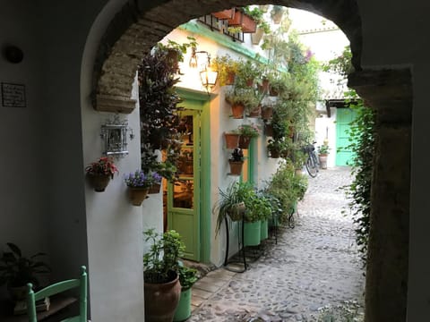 Patio, Garden