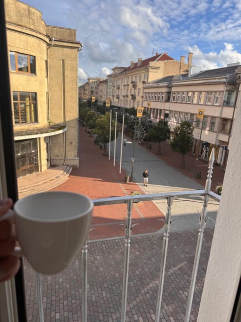 Broadway apartament Apartment in Lithuania