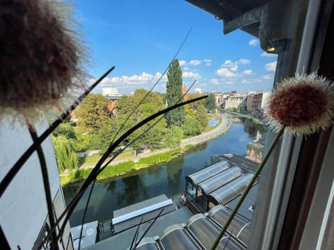 City view, River view