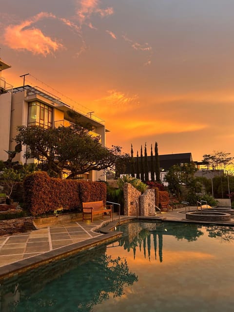 Garden, Swimming pool