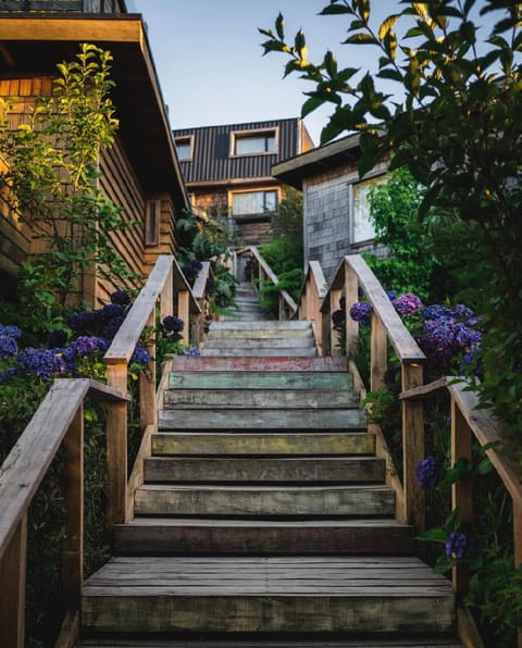 Property building, Spring, Day, Garden, Garden view