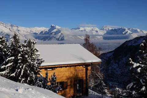 Bird's eye view, Winter, Mountain view