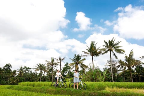 Off site, Neighbourhood, Cycling