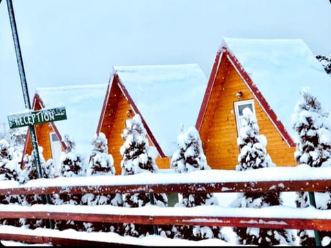 Cottage Borje Chalet in Montenegro