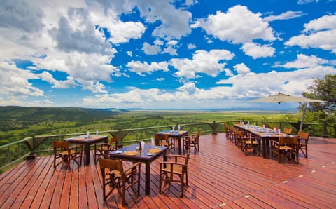 Property building, Patio, Day, Activities, Activities, Balcony/Terrace, Lounge or bar, Food and drinks, Animals, Animals, On site, Landmark view