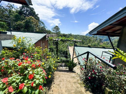 Natural landscape, Garden