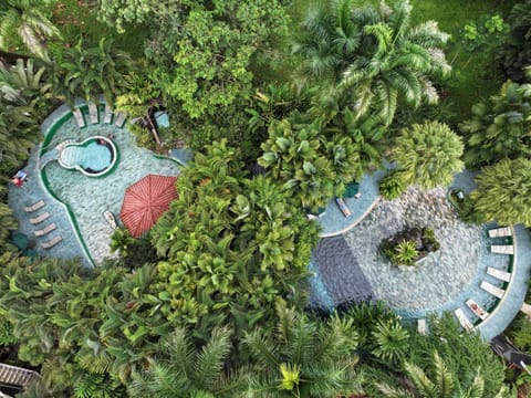 Day, Natural landscape, Garden, Garden view, Swimming pool