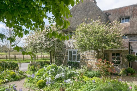 Property building, Facade/entrance, Spring, Garden