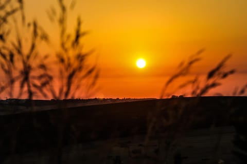 Natural landscape