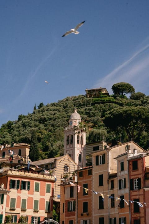 Natural landscape, Activities, Area and facilities