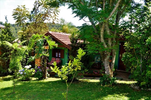 Day, Garden