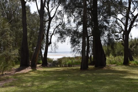 Natural landscape, Garden, Lake view