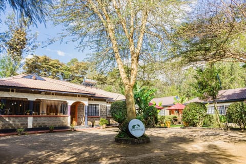 Property building, Natural landscape, Garden view