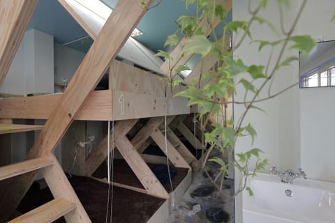 bunk bed