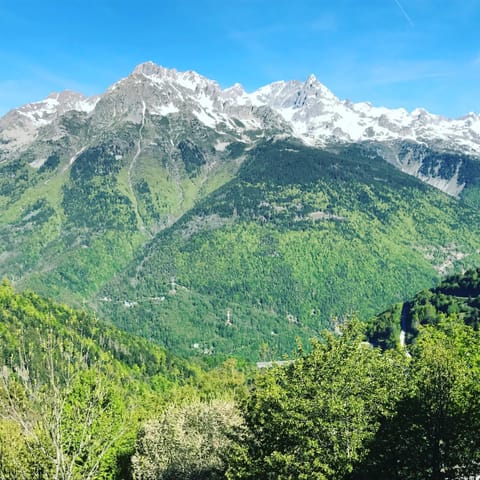 Natural landscape