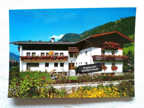 Facade/entrance, Summer