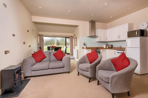 Living room, kitchen