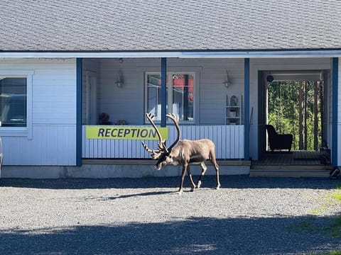 Scandinavian Dream Cottages Vikajarvi- Rovaniemi Country House in Rovaniemi