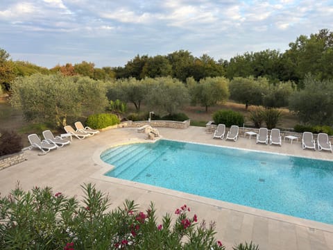 Natural landscape, Garden, Garden view, Pool view, Swimming pool, sunbed