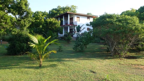 Property building, Garden view