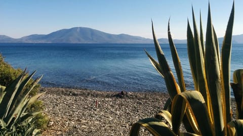 Natural landscape, Beach