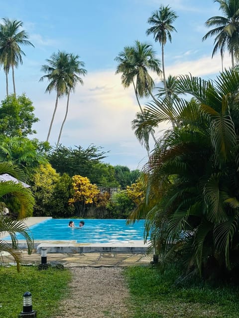 Day, Garden, Garden view, Pool view, Swimming pool