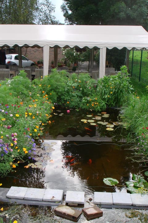 Summer, Garden, On site