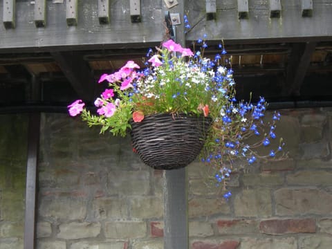 Decorative detail, On site