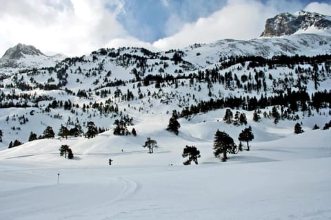 Off site, Day, Winter, Other